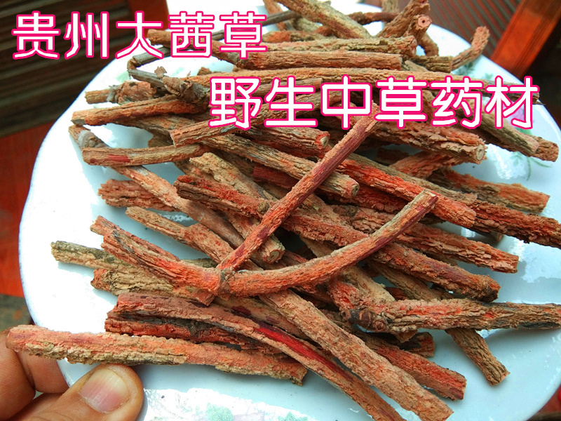 鸿茅全株图片