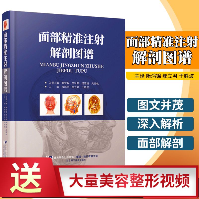 面部精准注射解剖图谱 面部分区面部