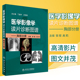 医学影像学读片诊断图谱胸部分册 头颈胸腹骨肌部放射医学超声诊断学影像解剖学胸部影像学x线读片指南磁共振ct诊断人民卫生出版社