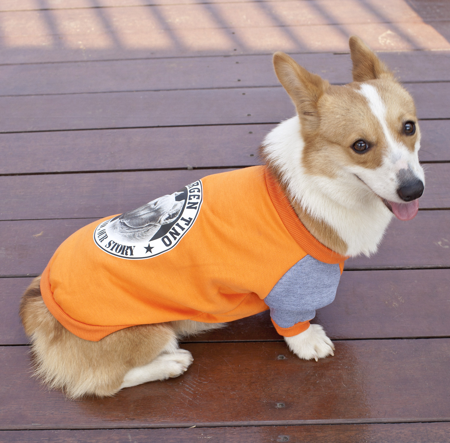 宠物用品 狗衣服 泰迪_狗狗衣服宠物用品中小型犬衣服两脚衣柯基法斗