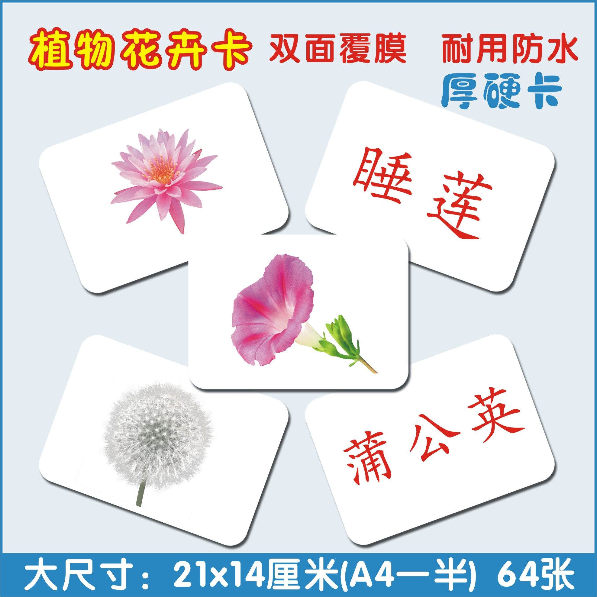 杜曼闪卡百科植物花卉婴幼儿童右脑潜能开发认知识字早教卡片
