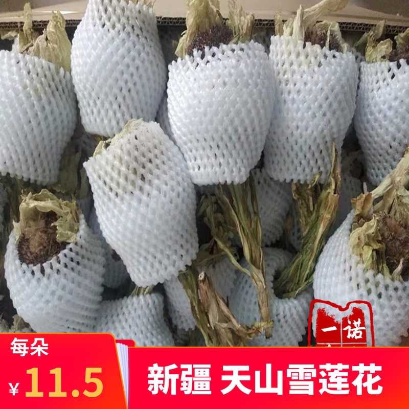 雪莲花新疆天山雪莲野生正品雪莲花干花雪莲花茶清火滋补泡酒泡茶
