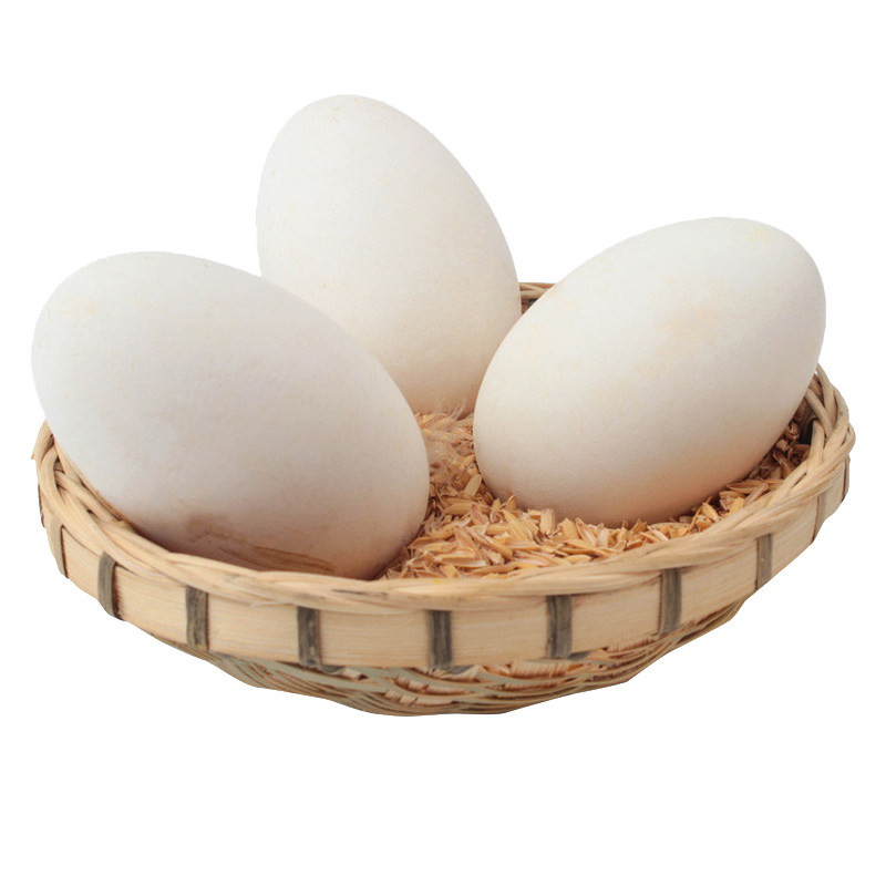 鹅蛋大全——其他用品