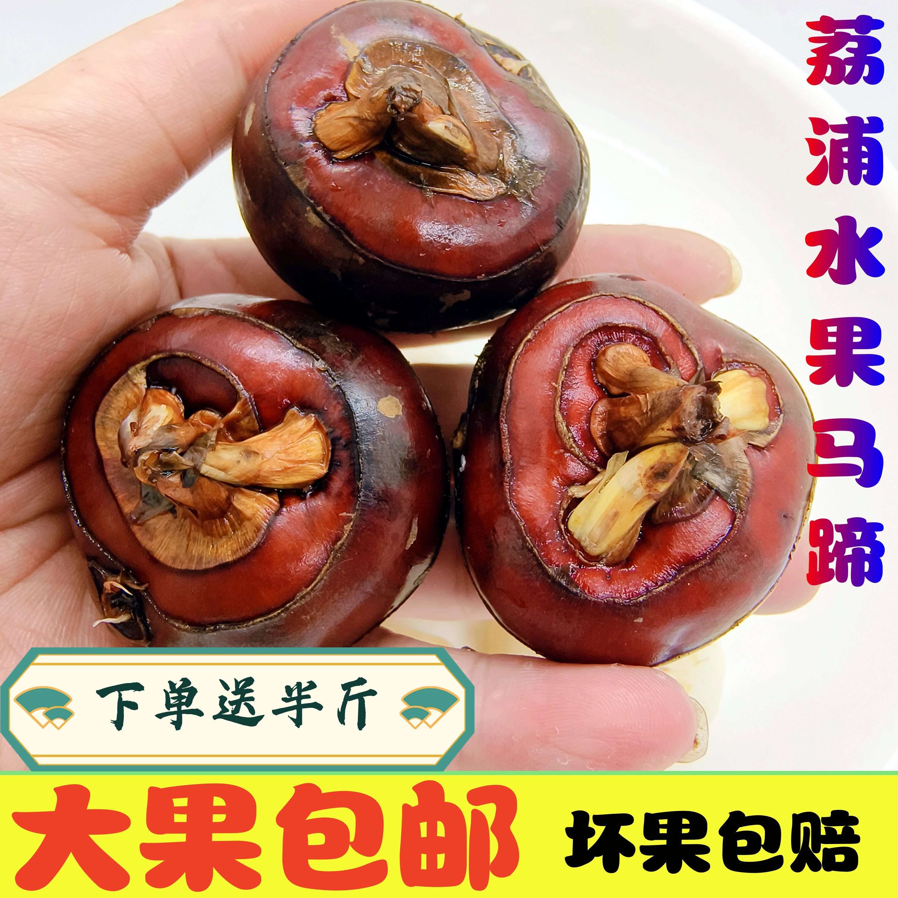 正宗广西荔浦水果马蹄(荸荠)脆甜多汁无渣一级大果现挖即食包邮