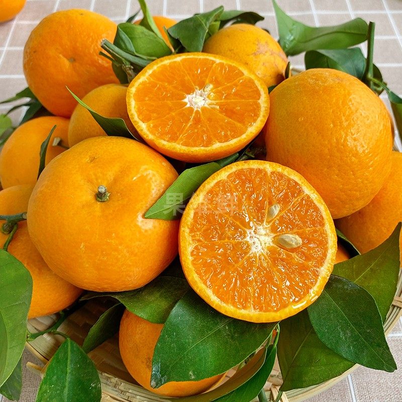云南带叶鲜新上市沃柑 3斤 当季新鲜水果 桔子柑橘橘子 新鲜好吃