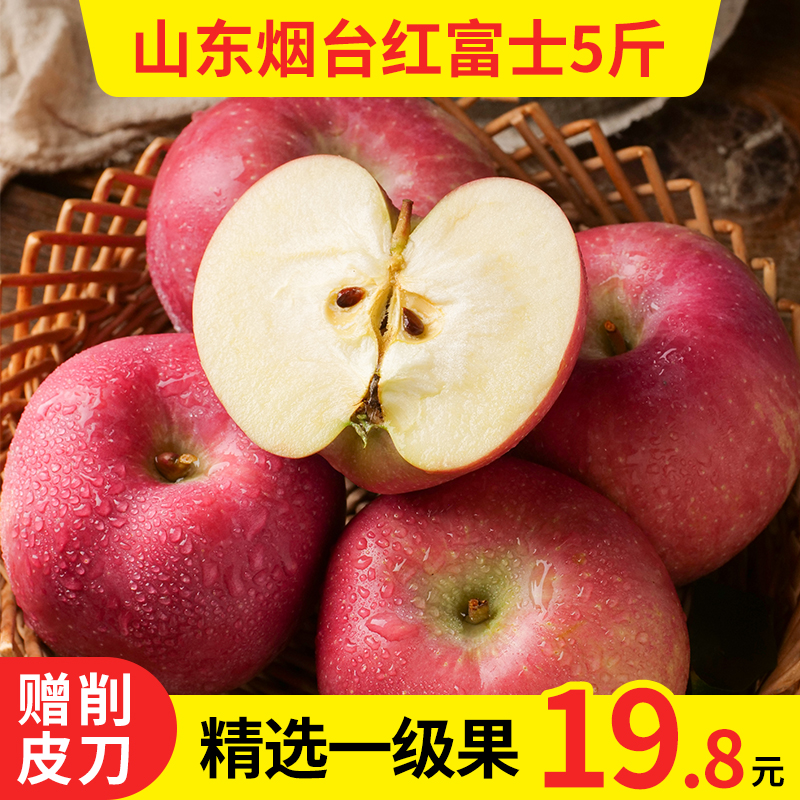 Yantai Apple Season fresh fruit FCL 5 Shandong Qixia Red Fuji Apple Pingguo 10in the Aquatic meat/Fresh fruits and vegetables/Cooked , Fresh fruit , Apple category - from Buy2taobao.com to provide professional Taobao agent buy service