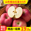 烟台苹果当季新鲜水果整箱5斤山东栖霞红富士小苹果脆甜萍平果10 烟台苹果当季新鲜水果整箱5斤山东栖霞红富士小苹果脆甜萍平果10