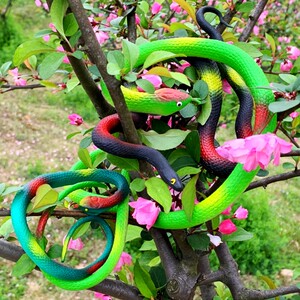 假蛇仿真蟒蛇图片