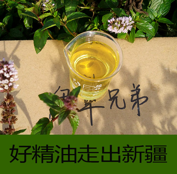 赖希欧薄荷精油 胡椒薄荷新疆精油留兰香绿薄荷精油芳疗|msdalam kategori Care pembersih/tuala wanita/kertas/Aromatherapy, Aromatherapy Products, aroma Spice - dari Buy2taobao.com untuk memberikan perkhidmatan ejen Taobao profesional membeli