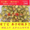 Chinese herbal medicine Xanthium Irritability Stuffy nose Seasonal Sneeze Runny nose Eye Swelling Chinese herbal medicine Xanthium Irritability Stuffy nose Seasonal Sneeze Runny nose Eye Swelling