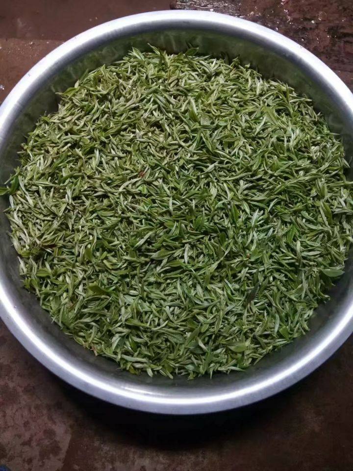 墨江哈尼农家手工土茶2022年新茶清明后夏茶普洱散装