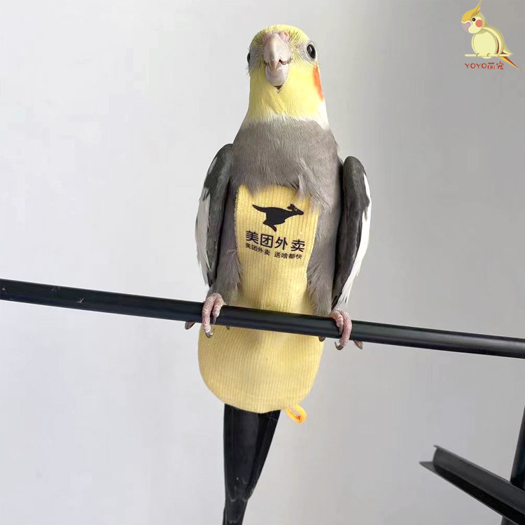 鹦鹉尿不湿牡丹玄凤虎皮可调节立体定制屎兜防水飞行服美团遛鸟衣