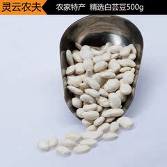 相思莲 白芸豆 大白豆 芸豆农家特产 白云豆粗粮五谷杂粮 500g