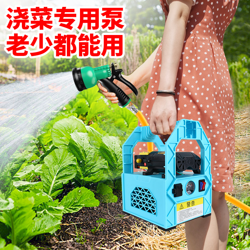 充电水泵户外浇菜抽水泵便携式农用抽水机家用小型12v