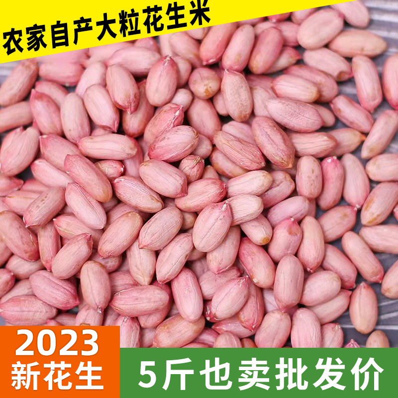 2023山东大粒花生米 生 新 精