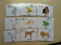 新款英语彩图单词闪卡26个英文字母卡片宝宝早教启蒙英语教师教具