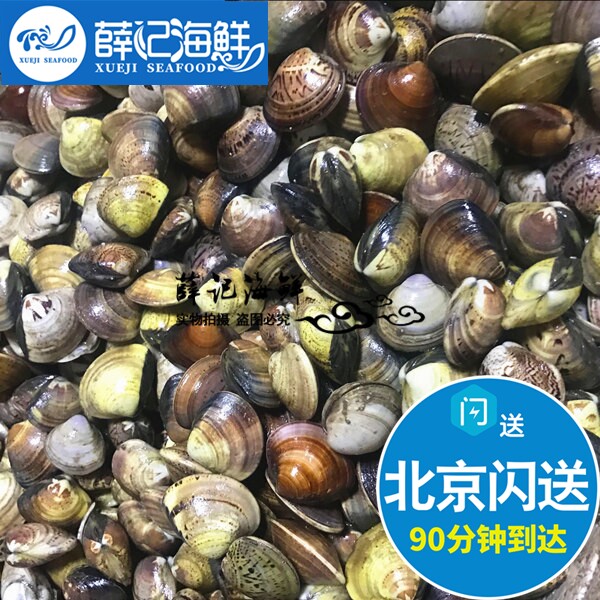 500g北京闪送鲜活海鲜蛤蜊文蛤