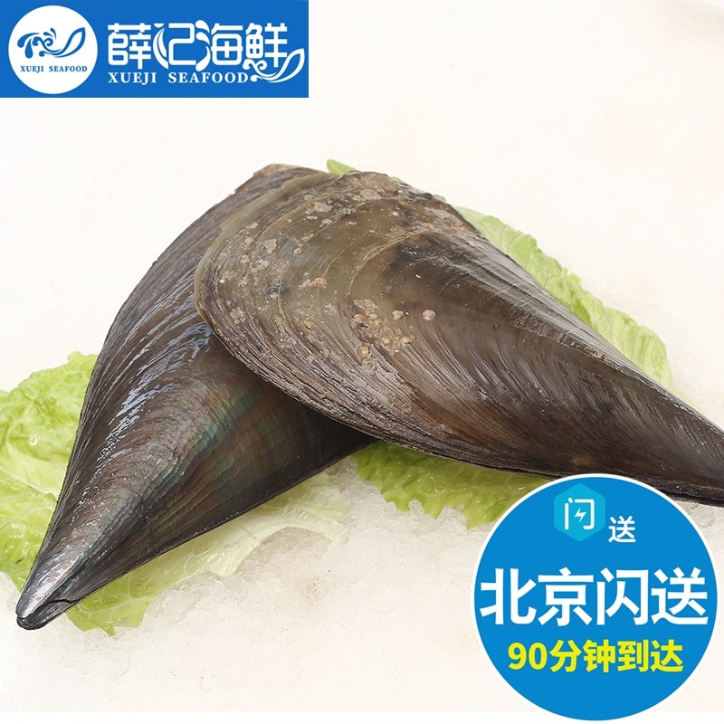 4-5两1只北京闪送贝类鲜活带子