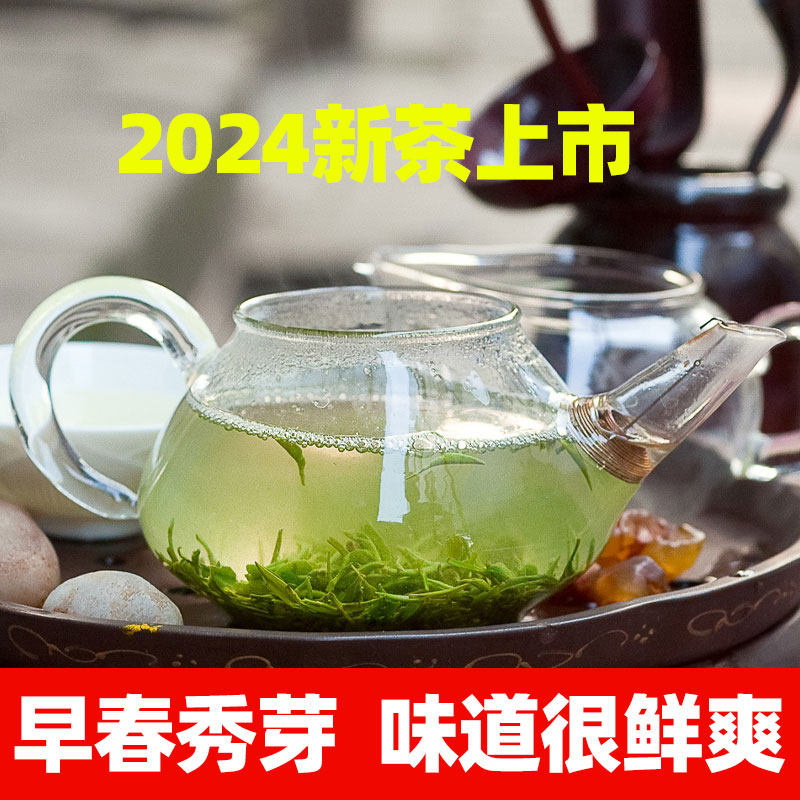 君子水永川秀芽2024年新茶叶特产