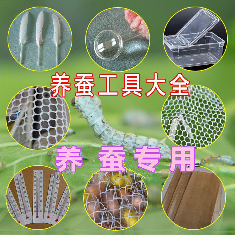 养蚕的专用工具套装饲养盒结茧网羽毛方格簇抓蚕夹齐全学生家用