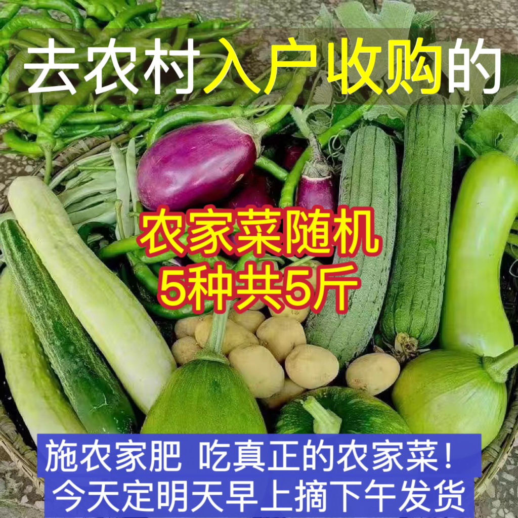 湖南农家自种新鲜蔬菜时令当季农家菜天然绿色食品自选混搭5斤装
