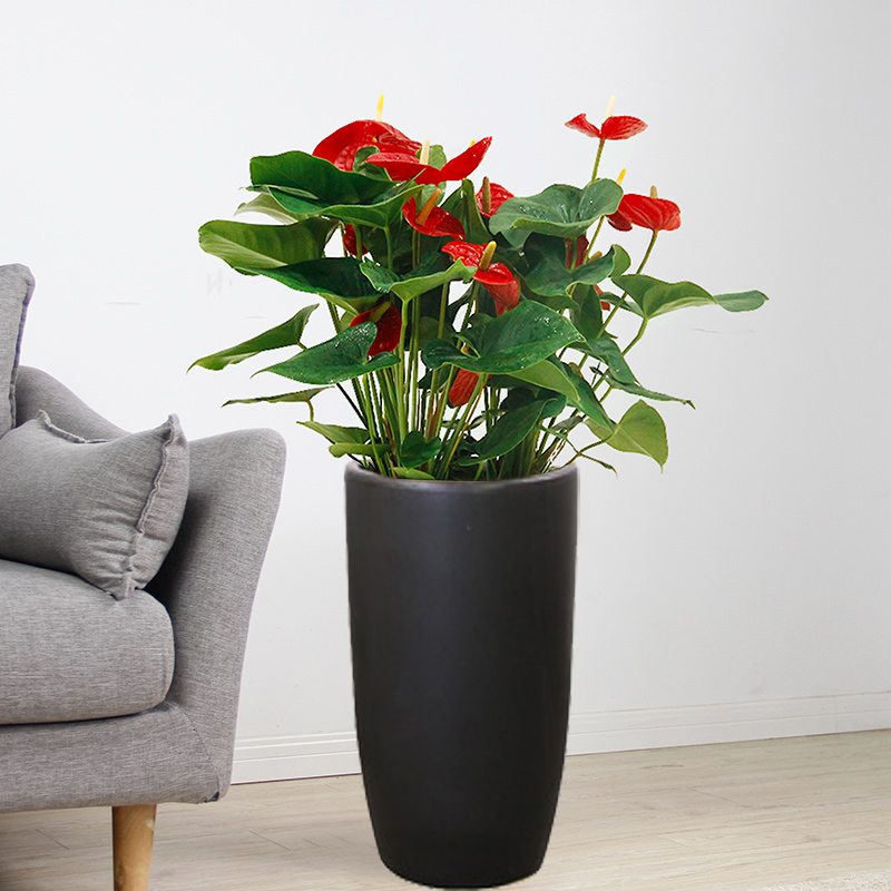 开业礼品送人店铺