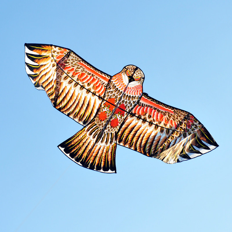 鸢缘风筝潍坊风筝前撑杆老鹰苍鹰风筝儿童老人好飞微风易飞保飞