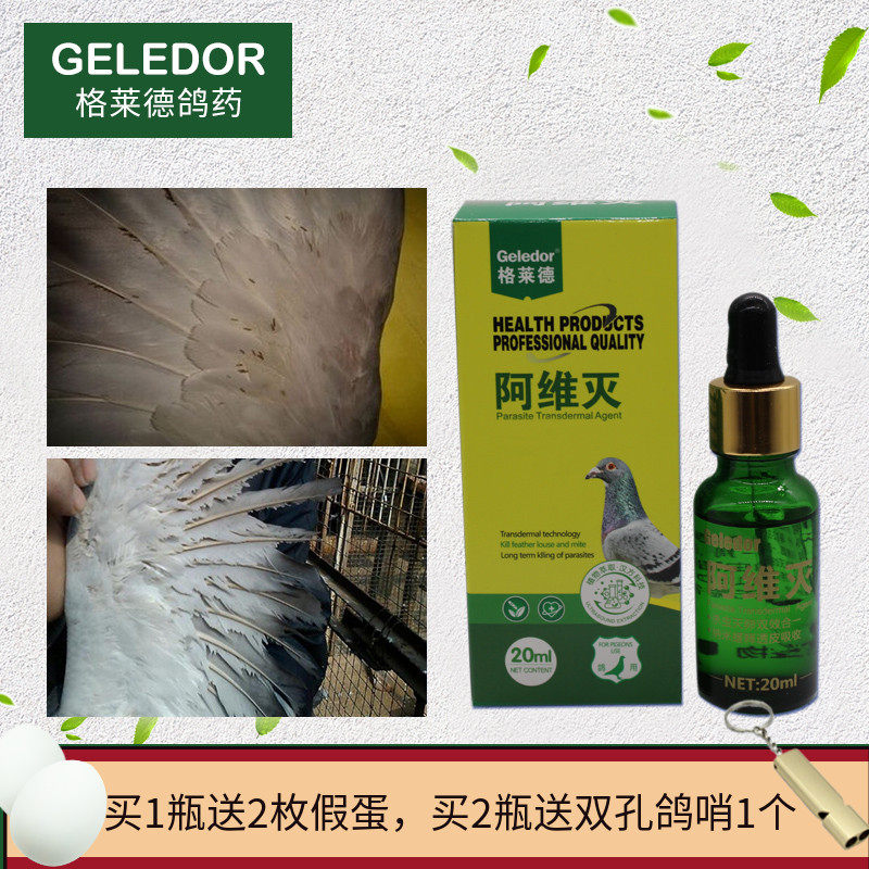 鸽药坊的优惠券大全