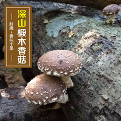 新货上市 农家椴木香菇干 250克 野生干货土特产自家山货