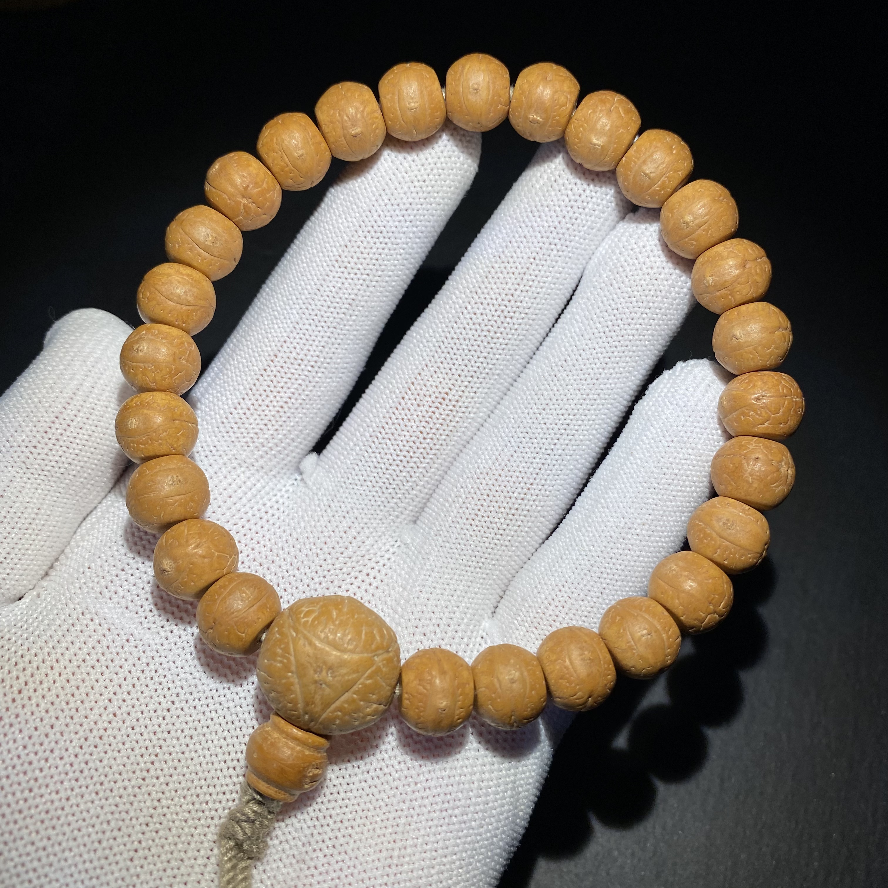 凤眼菩提(凤眼菩提的作用与功效)