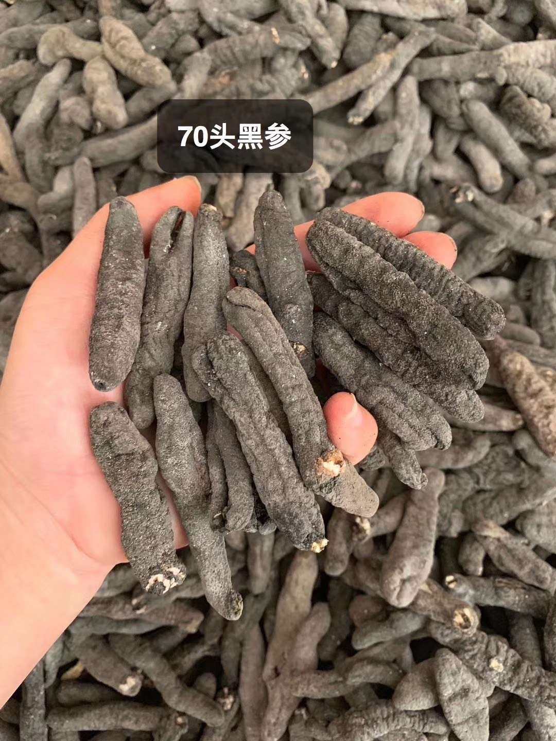 海参 黑乌参70头一斤500克包邮装,足干淡干,6倍发头,厚身圆秃