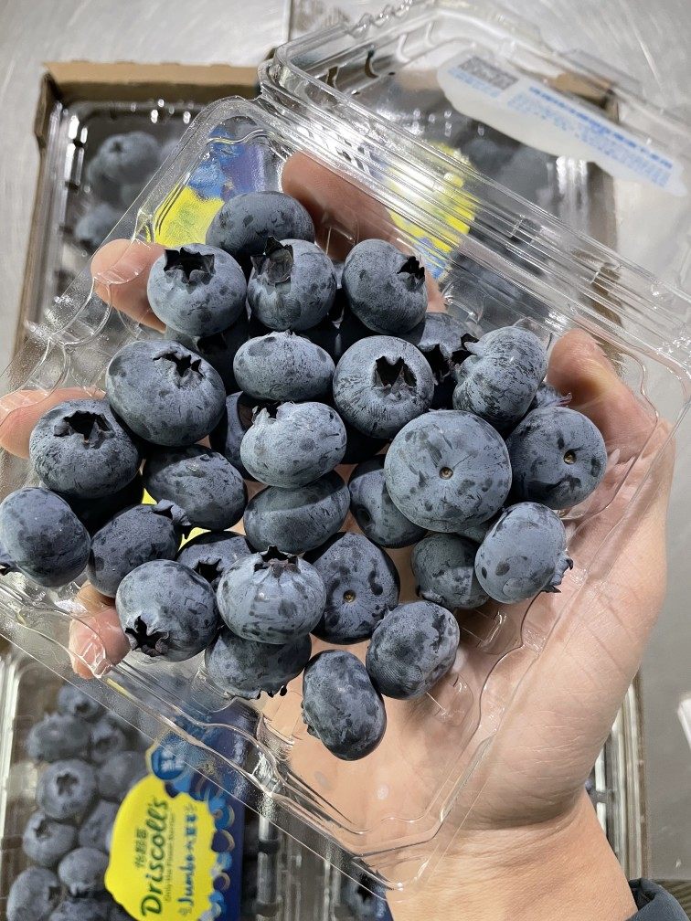 云南怡颗莓蓝莓果王大果6盒新鲜顺丰空运包邮