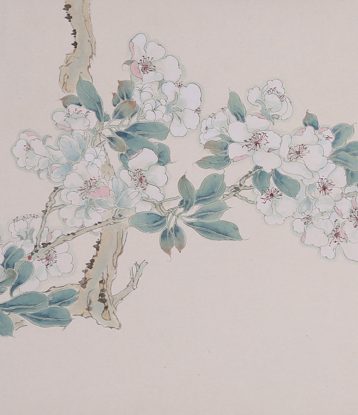 赵夜白《梨花》