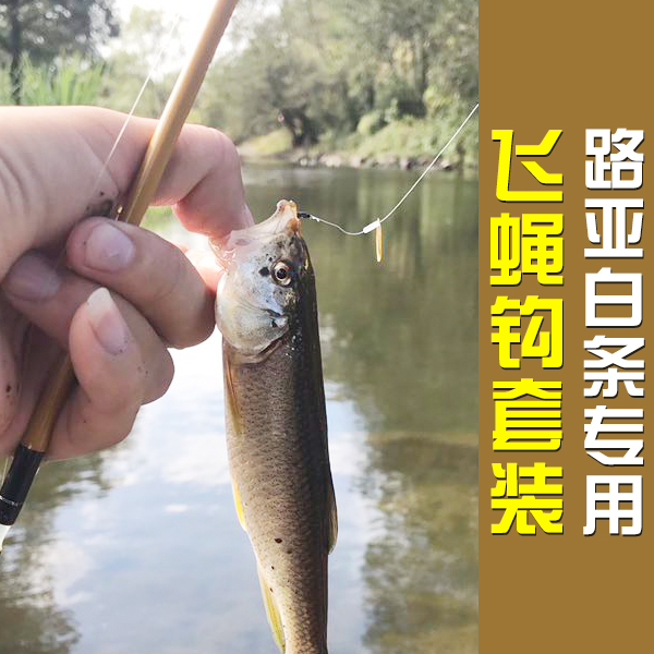 白条飞蝇小钩助投器套装钓翘嘴马口神器纳米小虫瓜子亮片路亚假饵|ruв категории открытый/альпинизм/в поход/Поездки товаров, Рыбалка оборудования, крючок - от Buy2taobao.com для оказания профессиональной услуги покупки агента Taobao