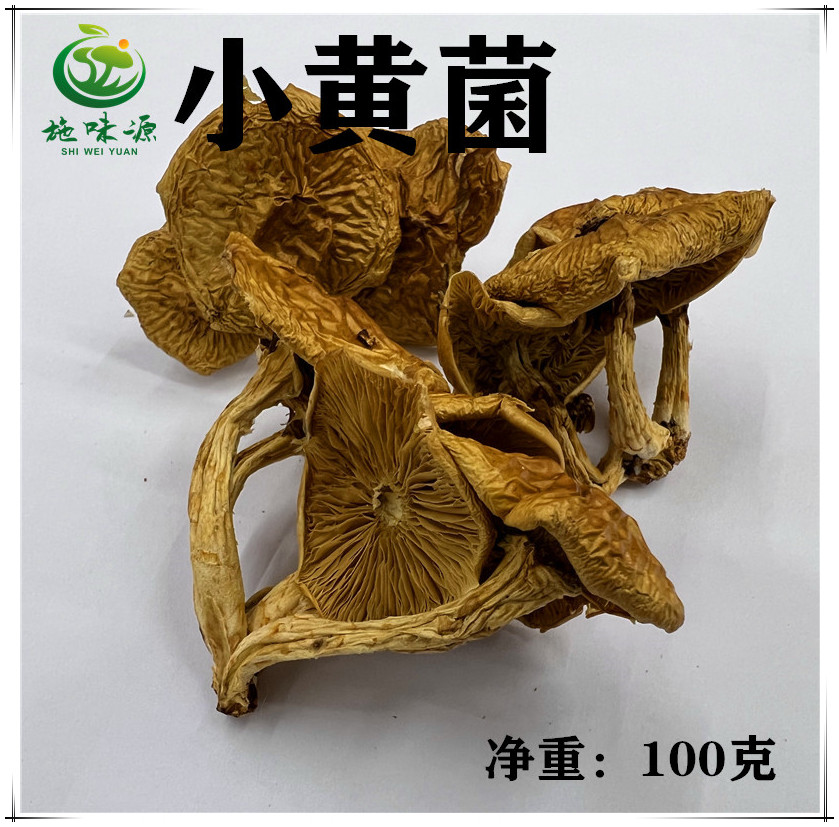 【施味源野生菌】云南自然晒干小黄菌干货100克食用山珍蘑菇食材