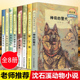 沈石溪激情动物小说系列 共8册正版神奇的警犬 四五六年级小学生课外阅读书儿童文学小说故事10-12-15周岁沈石溪书 17版