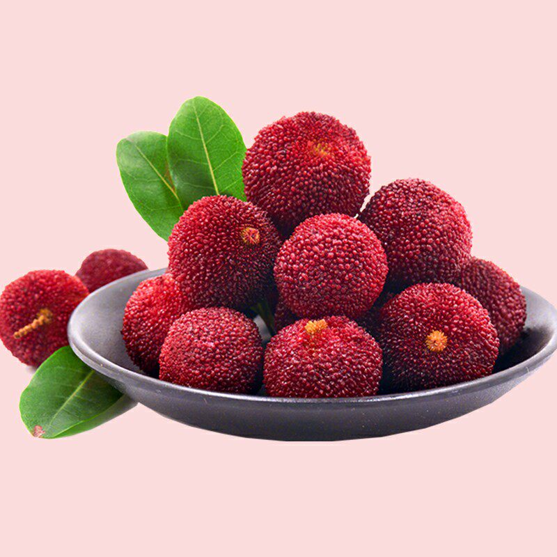 杨梅新鲜现摘现发孕妇水果当季整箱6斤台州东魁杨梅鲜果