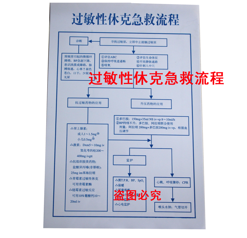 医院制度挂图贴图过敏性休克急救流程图抢救流程表超清晰挂图防水