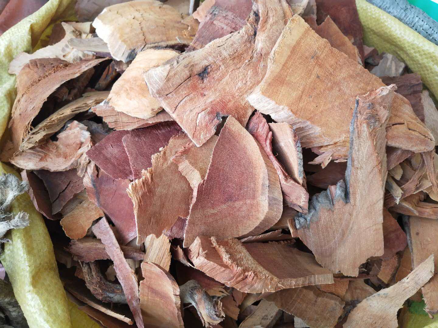 半枫荷根中药材500克 纯根半风荷鸭脚木枫荷梨根头翻白叶根可磨粉