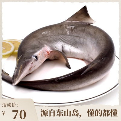 莱客东山岛野生冷冻小白鲨每条1.5斤 新鲜鲨鱼肉 海鱼冷冻曲齿鲨