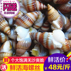 海螺丝海瓜子鲜活水产贝类鲜螺野生海螺丝大个头鲜活新鲜美味500g