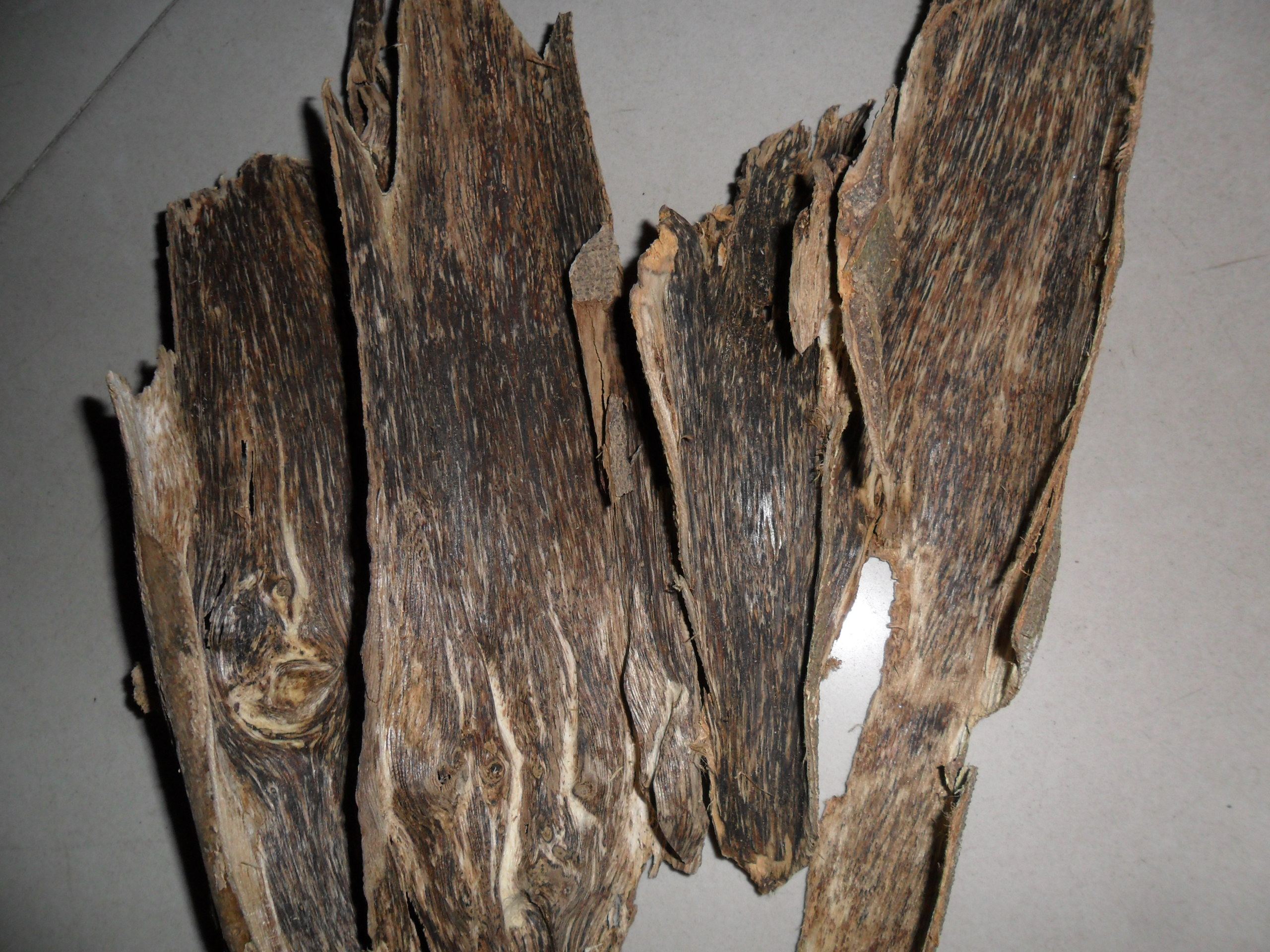 天然莞香青桂皮油沉香有些地方称为棋皮棋楠皮味道清香穿透力强