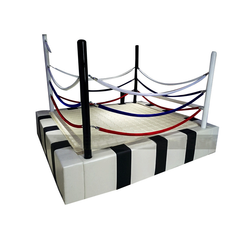 酒店水床情趣床现代电动主题家具轻奢精品民宿宾馆影咖拳击擂台床