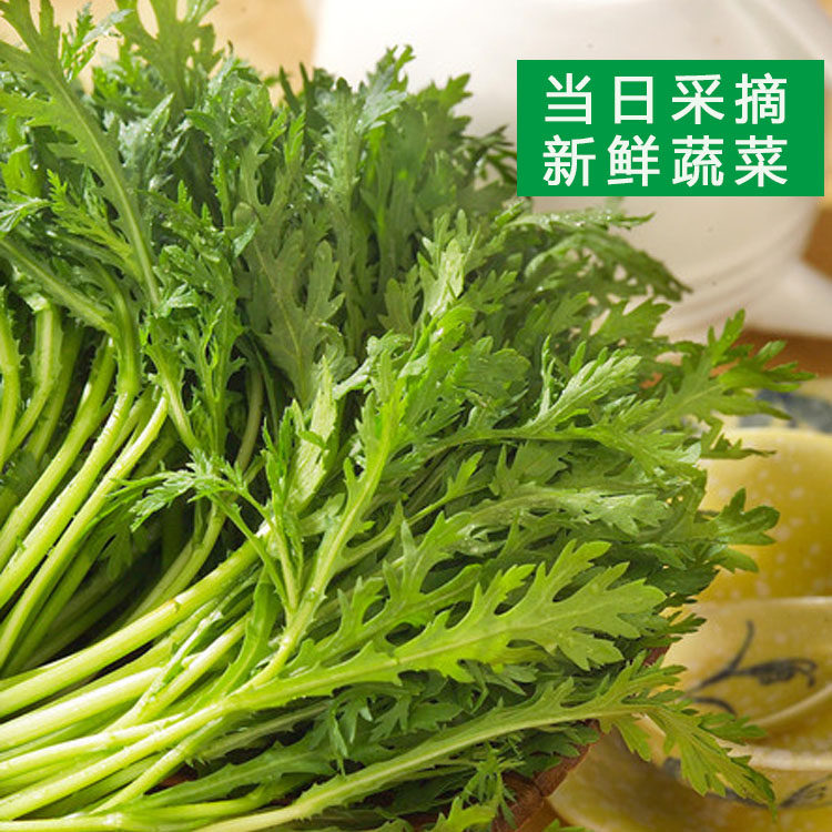 当日采摘500克新鲜蔬菜茼蒿菜皇帝菜鲜嫩爽口火锅菊花菜