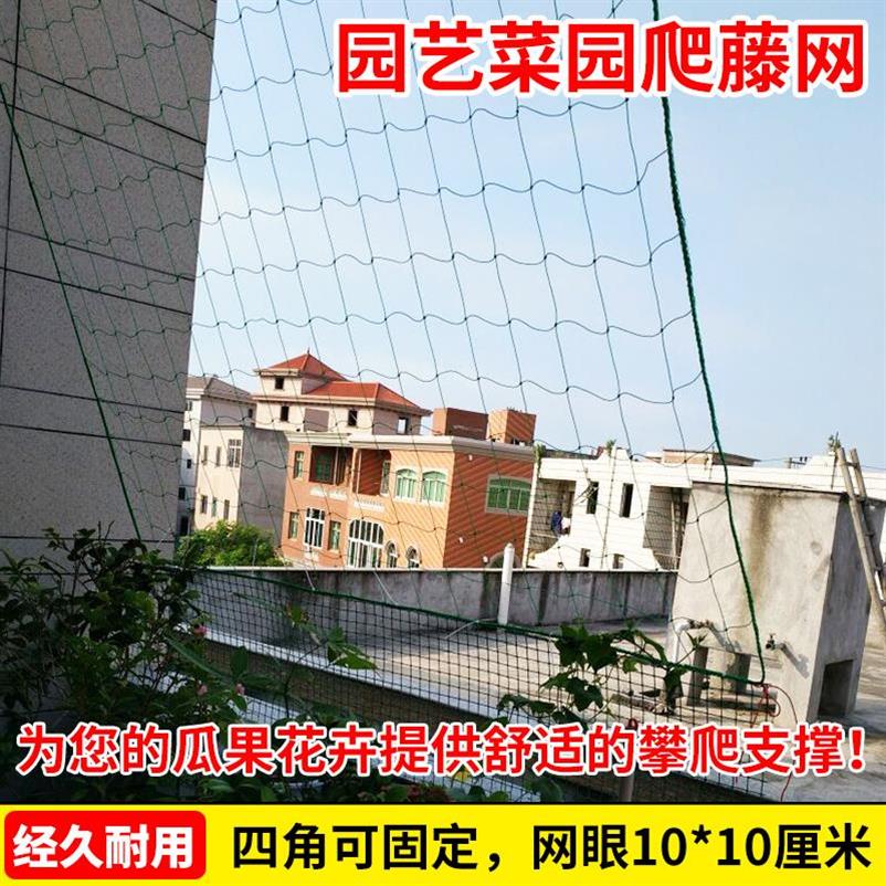 塑料绳户外网园艺网百香果网 专用网 爬藤葡萄棚架网爬藤网架月季在类目 鲜花速递/花卉仿真/绿植园艺, 园艺用品, 其它园艺用品中 - 来自Buy2taobao.com提供专业的淘宝代购服务