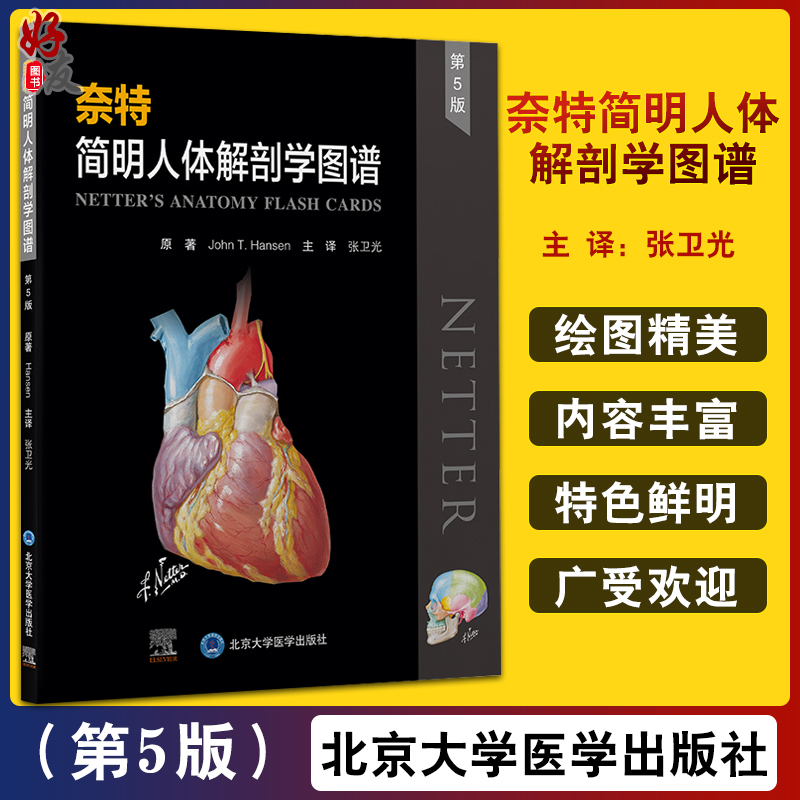 奈特简明人体解剖学图谱 第五版 涵