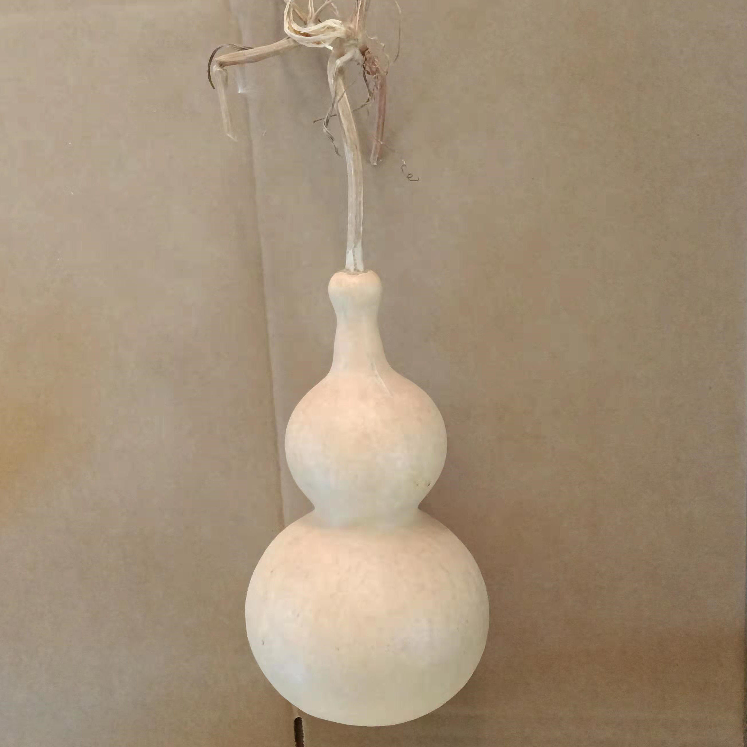 风水方位天然特大中小号白皮葫芦摆件适合练习烙画都有疤瑕疵包邮