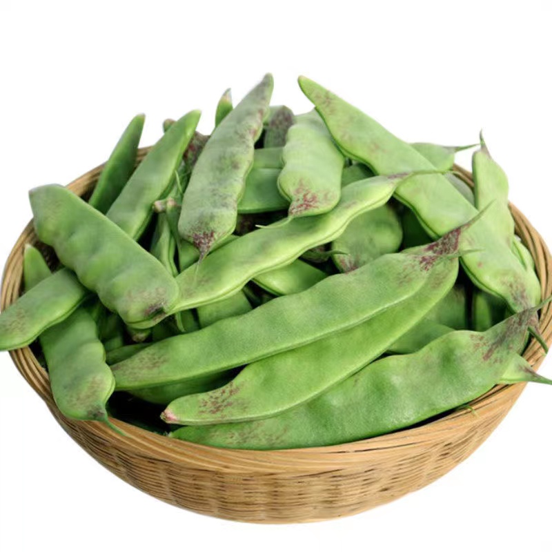 东北油豆角现摘新鲜