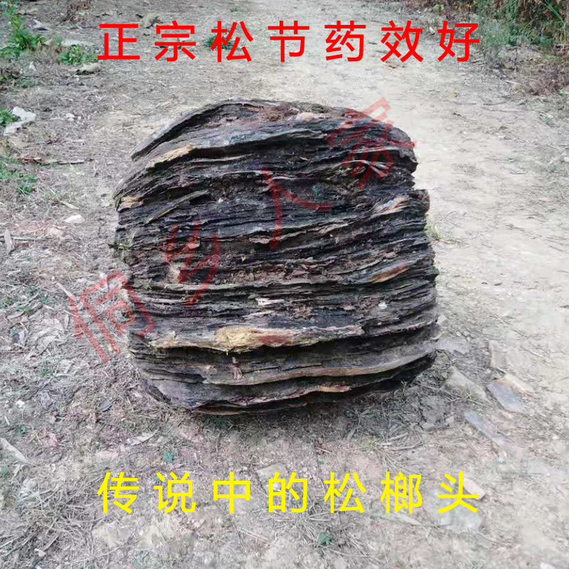 正宗松榔头中药材松结松节松树节药材包邮现采新鲜黄松木松明