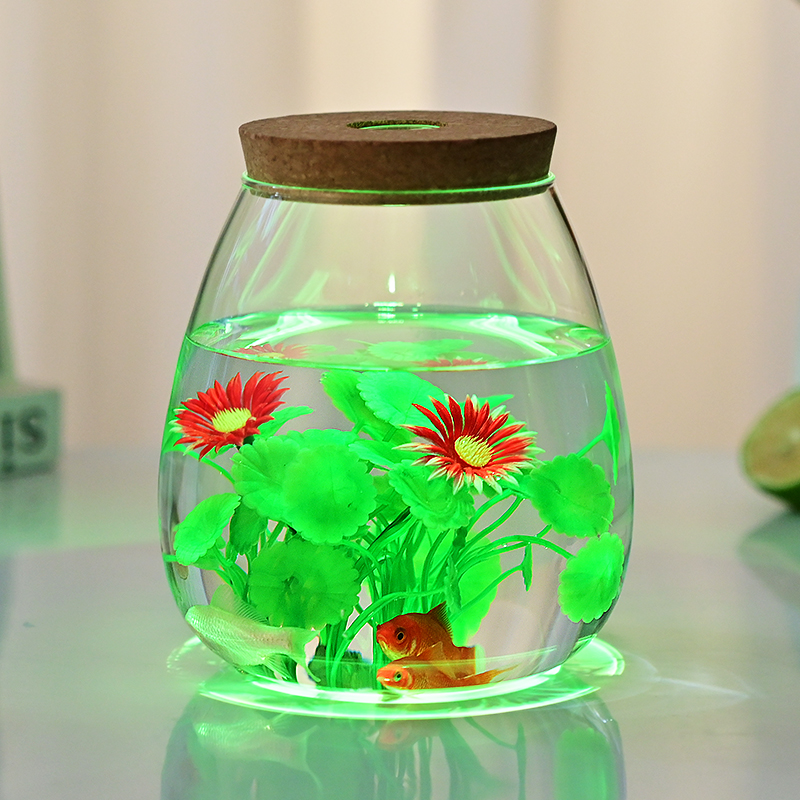 包邮大口径生态瓶青苔藓微景观玻璃缸盆景摆件造景盆栽创意绿植物